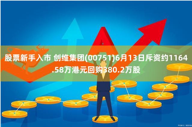 股票新手入市 创维集团(00751)6月13日斥资约1164.58万港元回购380.2万股