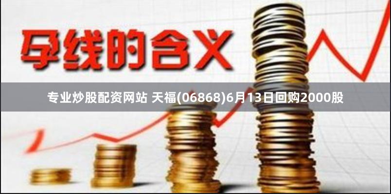 专业炒股配资网站 天福(06868)6月13日回购2000股