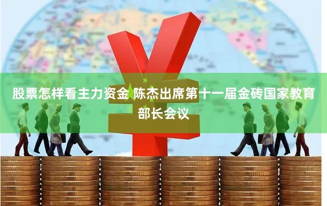 股票怎样看主力资金 陈杰出席第十一届金砖国家教育部长会议