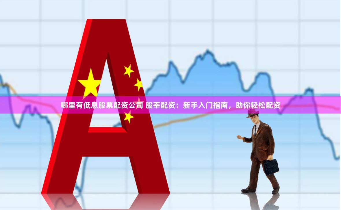 哪里有低息股票配资公司 股莘配资：新手入门指南，助你轻松配资