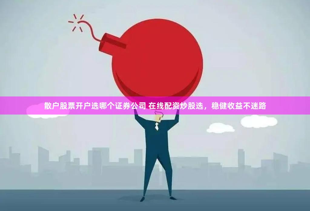 散户股票开户选哪个证券公司 在线配资炒股选，稳健收益不迷路