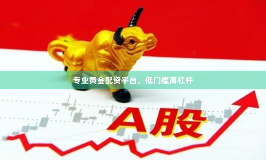 专业黄金配资平台，低门槛高杠杆