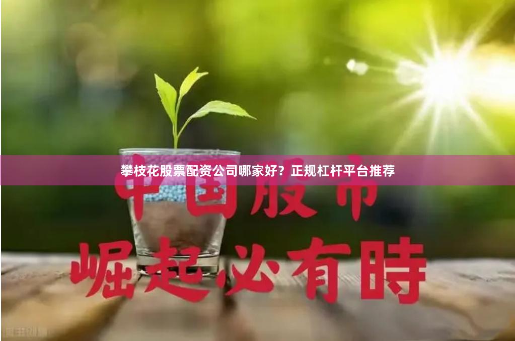 攀枝花股票配资公司哪家好?正规杠杆平台推荐